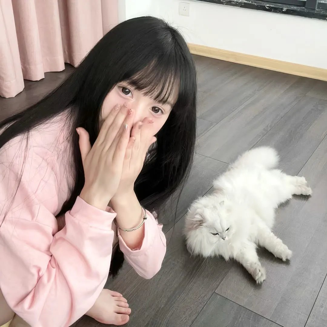 老鼠逗猫